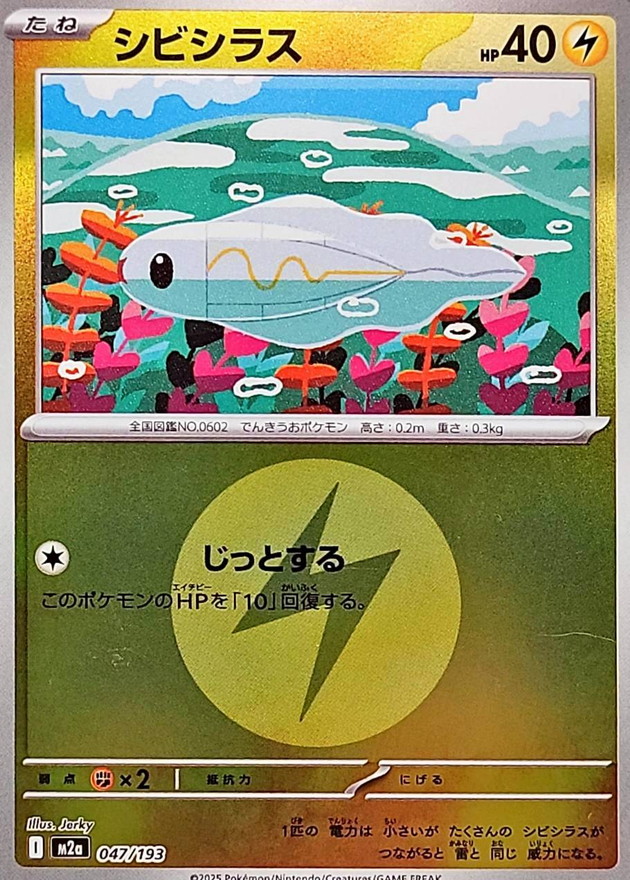 シビシラス(エネルギーマーク柄/ミラー仕様)