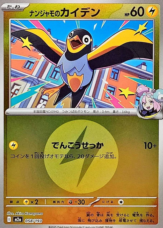 ナンジャモのカイデン(エネルギーマーク柄/ミラー仕様)