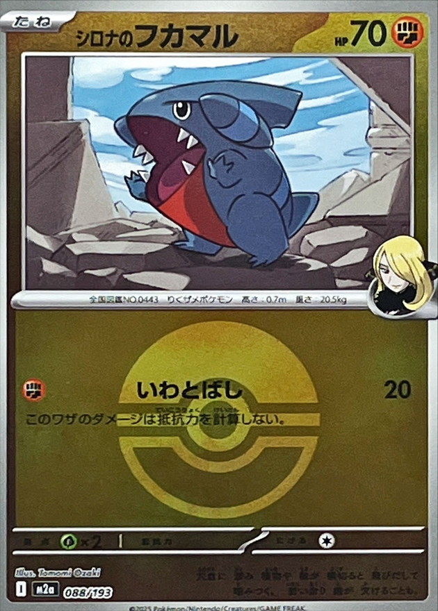 シロナのフカマル(ボール柄/ミラー仕様)