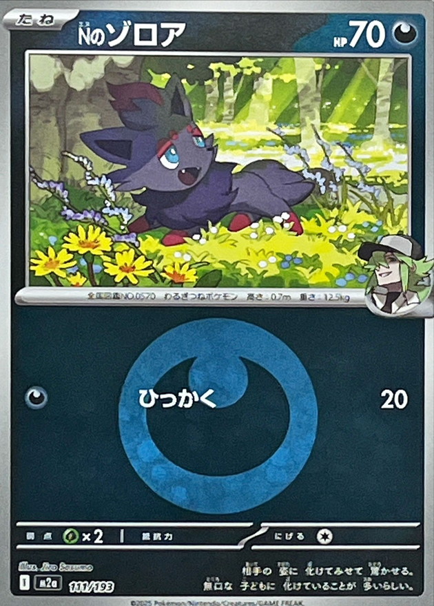 Nのゾロア(エネルギーマーク柄/ミラー仕様)