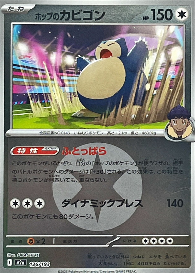 ホップのカビゴン(エネルギーマーク柄/ミラー仕様)