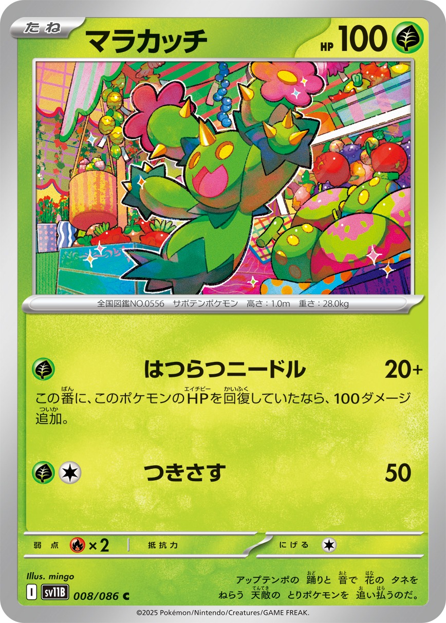マラカッチ（C）
