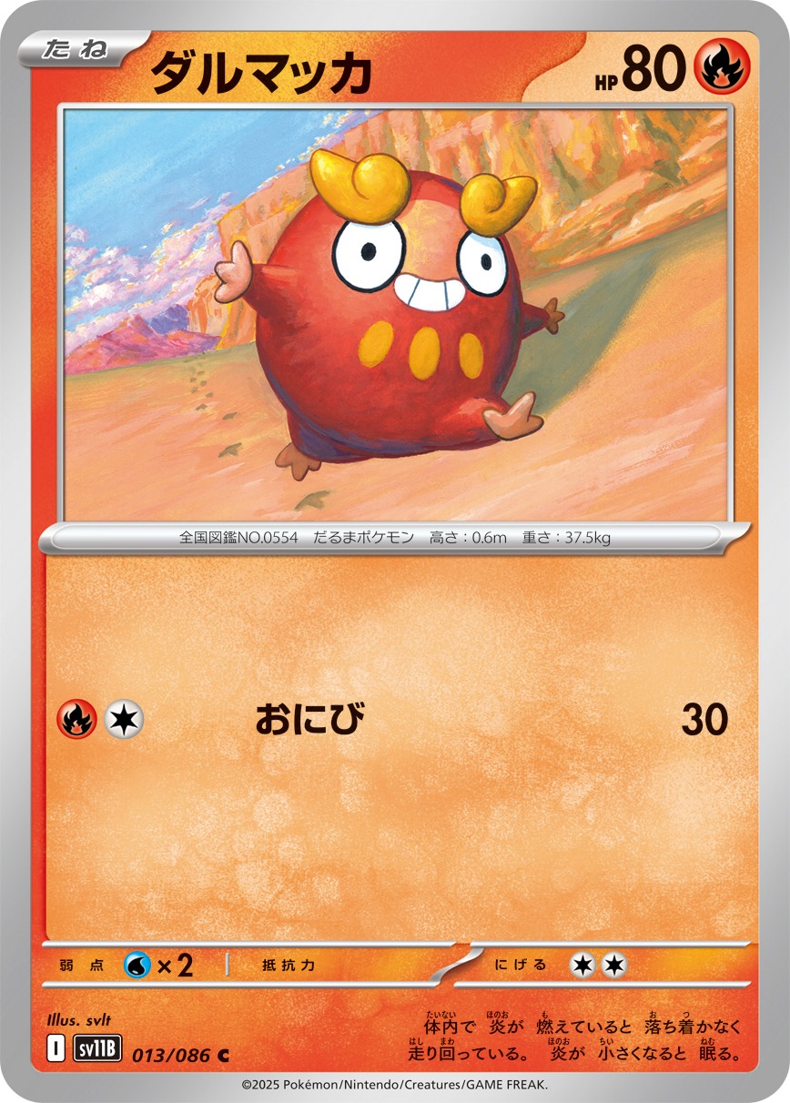 ダルマッカ（C）