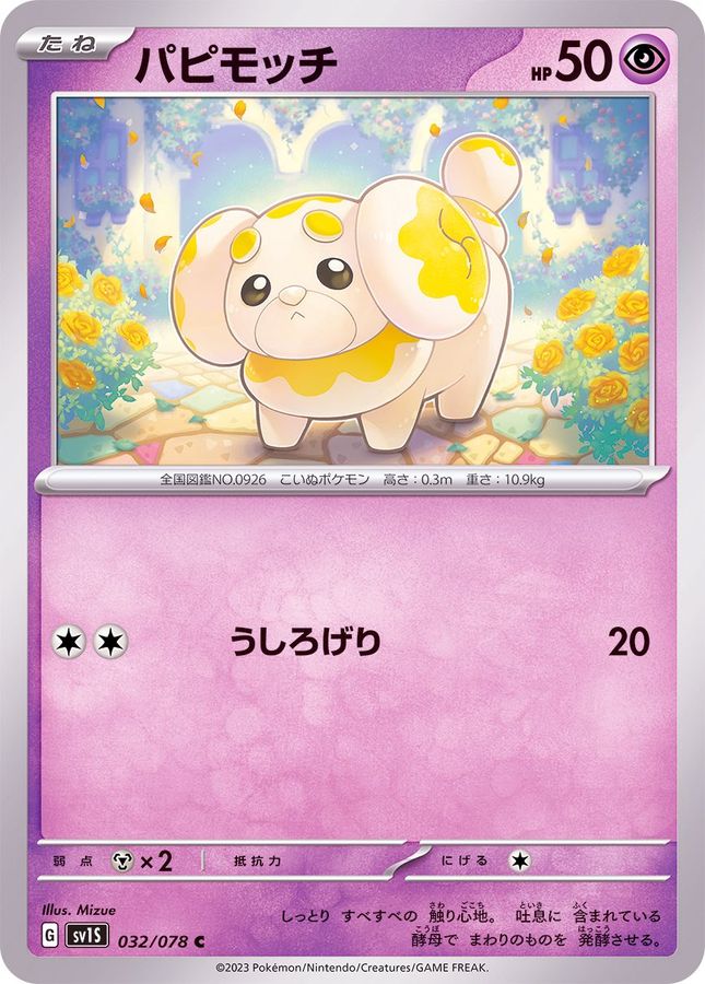 パピモッチ（C）