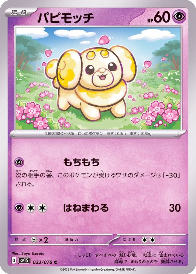 パピモッチ（C）
