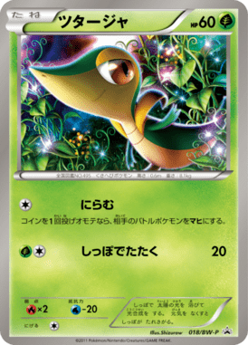 ツタージャ（PROMO）