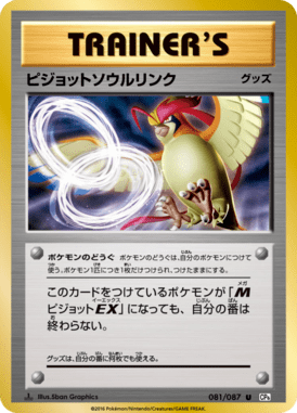ピジョットソウルリンク（U）