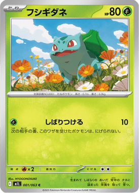 フシギダネ（C）