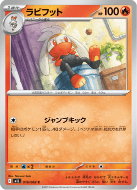 ラビフット（C）