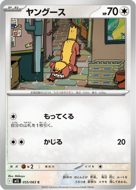 ヤングース（C）