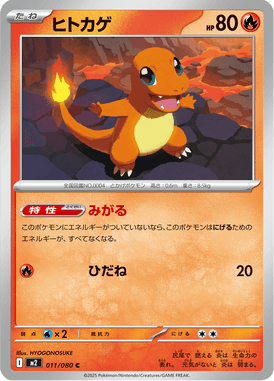 ヒトカゲ（C）
