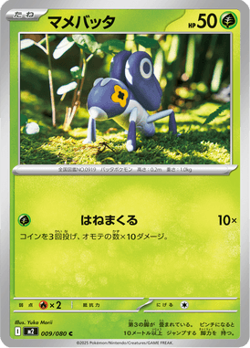 マメバッタ（C）