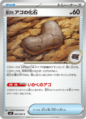 古びたアゴの化石（C）