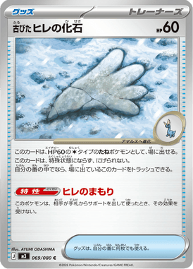 古びたヒレの化石（C）