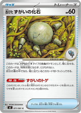 古びたずがいの化石（C）