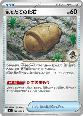 古びたたての化石（C）