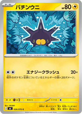 バチンウニ（C）