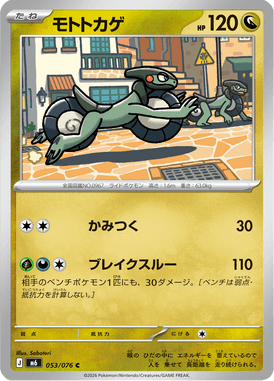 モトトカゲ（C）