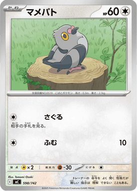 マメパト（TD）