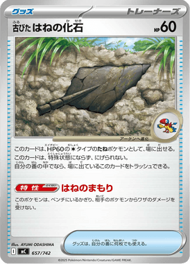 古びたはねの化石（TD）