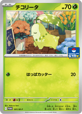 チコリータ（P）