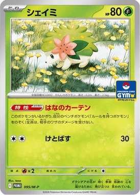シェイミ（P）