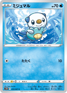 ミジュマル（C）