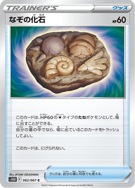 なぞの化石（C）