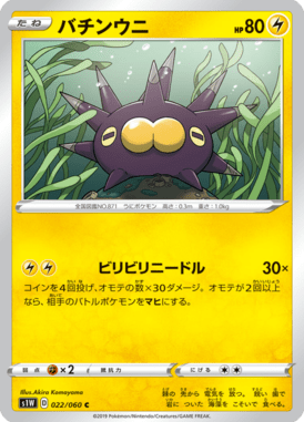 バチンウニ（C）
