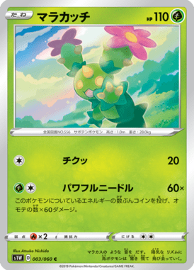 マラカッチ（C）