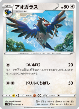 アオガラス（C）