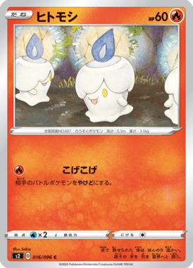 ヒトモシ（C）