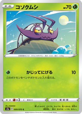コソクムシ（C）