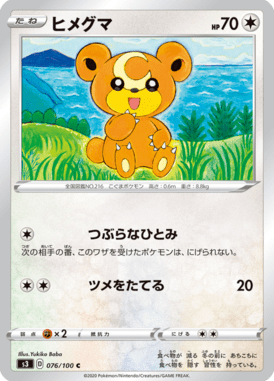 ヒメグマ（C）