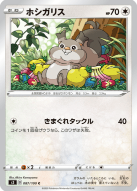 ホシガリス（C）