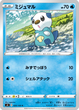 ミジュマル（C）