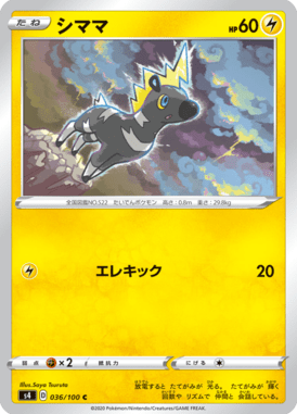 シママ（C）