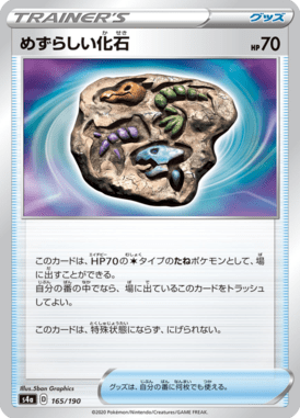 めずらしい化石（ミラー）