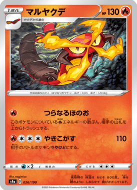 マルヤクデ（ミラー）