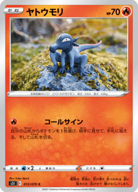 ヤトウモリ（C）