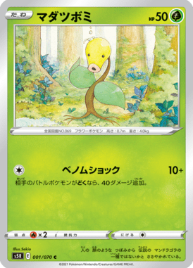 マダツボミ（C）