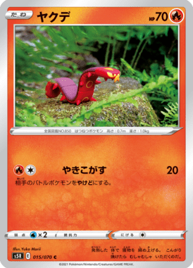 ヤクデ（C）