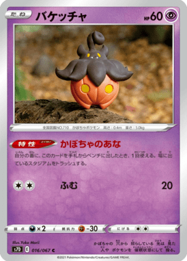 バケッチャ（C）