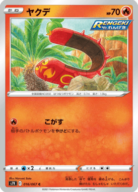 ヤクデ（C）