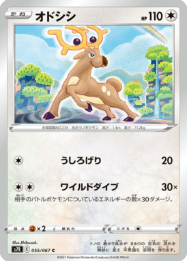 オドシシ（C）