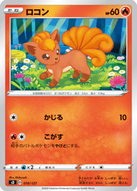 ロコン（TD）