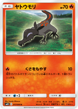 ヤトウモリ（C）