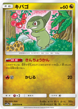 キバゴ（C）