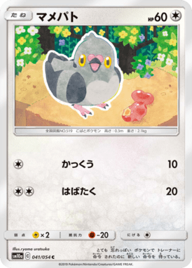 マメパト（C）