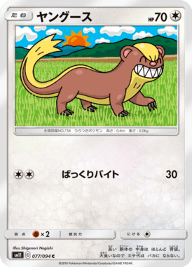 ヤングース（C）
